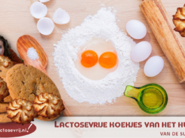 Blij Lactosevrij heeft voor jou de lekkerste lactosevrije koekjes van het huismerk van Albert Heijn (AH), Jumbo, Plus op een rij gezet! Kijk hier!