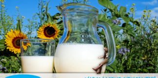 Blij Lactosevrij: heb jij een lactose intolerantie? Dan ben je vast op zoek naar meer informatie, handige ideeën en tips. Kijk snel op www.blijlactosevrij.nl!
