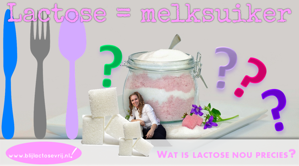 Veel mensen met een lactose intolerantie willen weten wat lactose is. Wil jij dit ook weten en tips over lactosevrij eten? Kijk op Blij Lactosevrij!