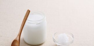 Zelfgemaakte lactosevrije melkvrije kokosyoghurt