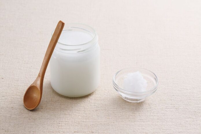 Zelfgemaakte lactosevrije melkvrije kokosyoghurt