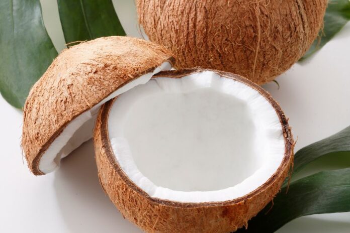Wat is kokosmeel