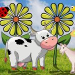 coaching en begeleiding lactose intolerantie blij lactosevrij