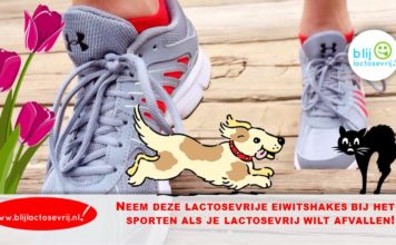 lactosevrije eiwitshakes bij sporten lactosevrij afvallen afslanken
