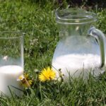 Wat is een lactose intolerantie