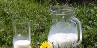 Wat is een lactose intolerantie