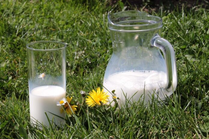 Wat is een lactose intolerantie